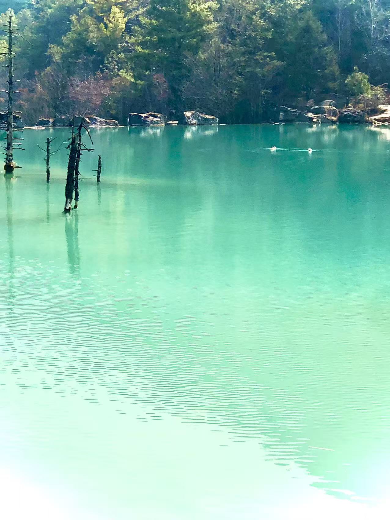 风景10