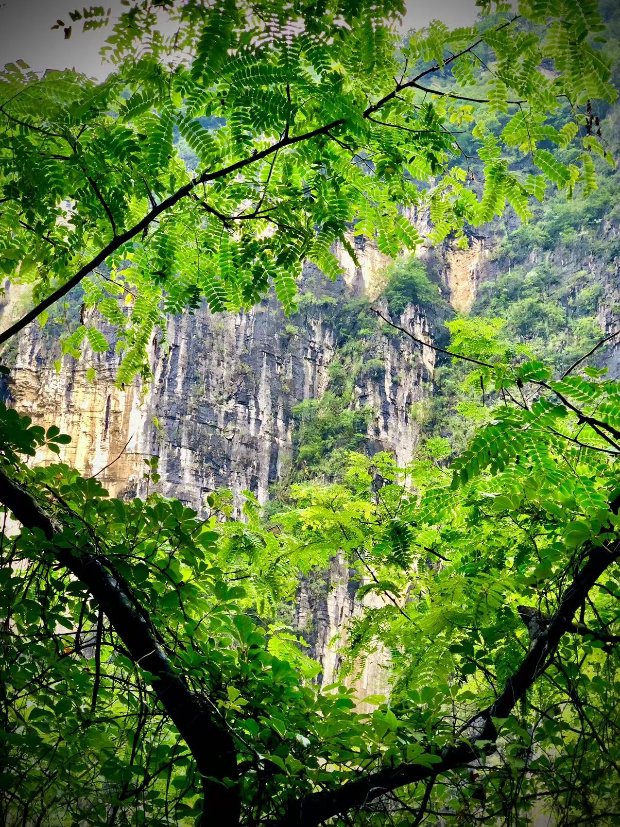 风景6